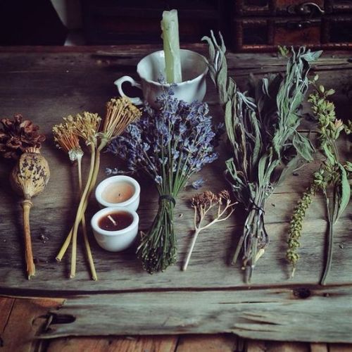 lunavenefica:⛤KITCHEN MAGIC BASICS⛤We’ve all heard about kitchen magic, but how does it work?It’s pretty simple! Every herb and spice has a meaning and magical properties.Kitchen witchcraft consists in the use of basic ingredients to make magical
