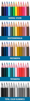 sixpenceee:Different types of color blindness demonstrated