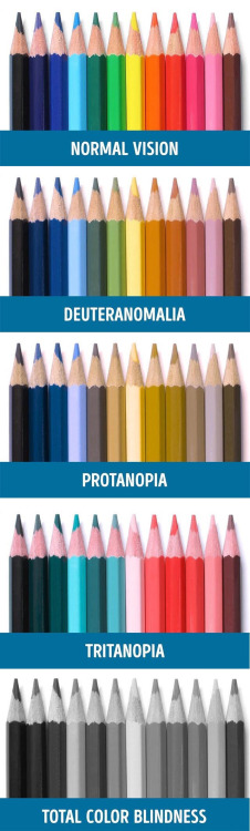 Porn sixpenceee: Different types of color blindness photos