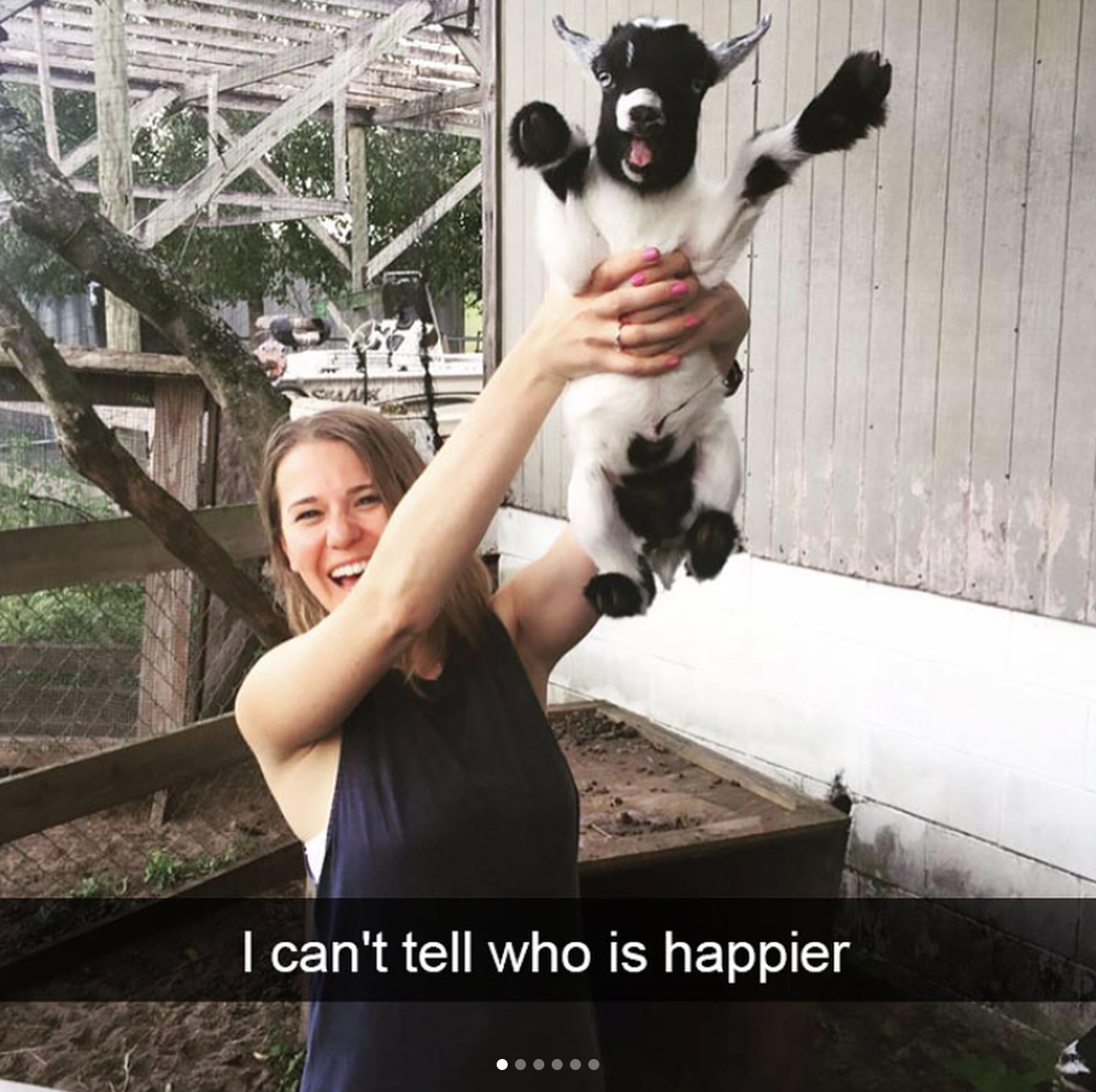 babyanimalgifs: Animal snaps x3 &lt;3