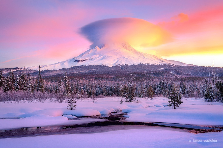 enchanting-landscapes:   Mount Hood Meadow by Jarrod Castaing    