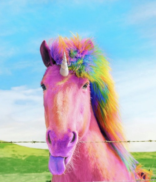 crossconnectmag:  Photo based digital colored animals by adult photos