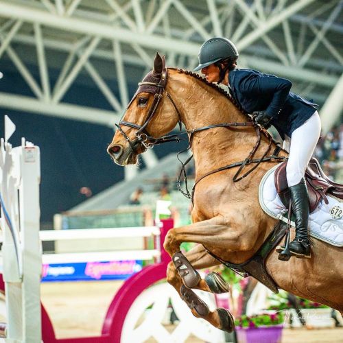 #janikasprunger #cyorstables #doha #alshaqab #showjumper #professional #twohearts #horsesofinstagram