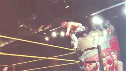 reikans-deactivated20160819:  Evan Bourne’s WWE NXT Return 2013 [x]   Dat shooting