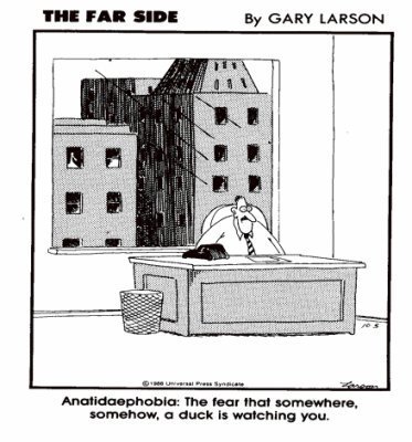 notthenearside:  A personal favorite.