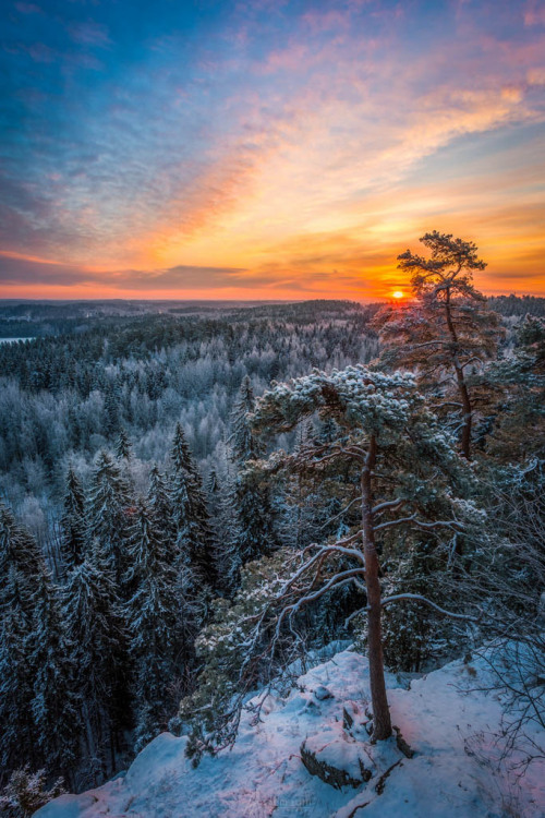 ponderation:  Frosty Forest Scenery by LauriLohi  Photographers Website | Facebook 