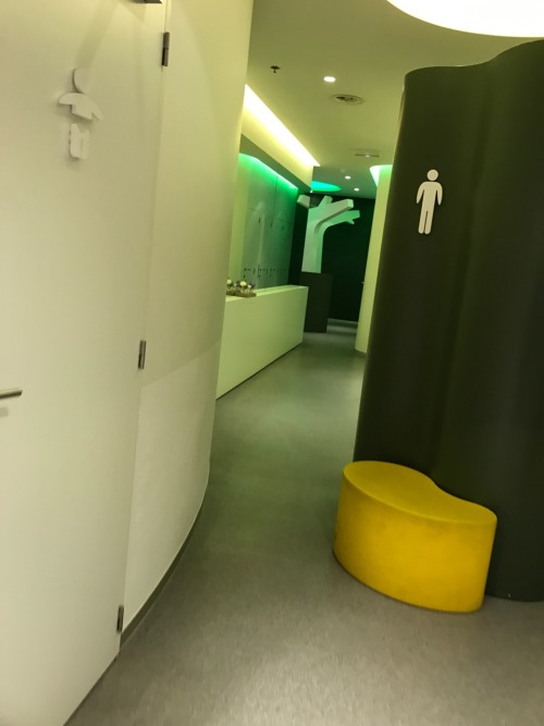 One of 2 new restrooms at the Wijnegem mall in Belgium. Free entrance, urinals placed so you do your