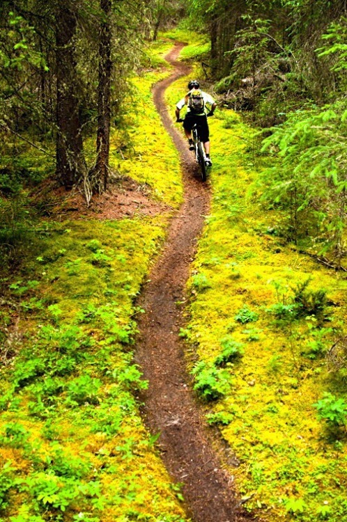 ukmtb:  Want to ride this??!!