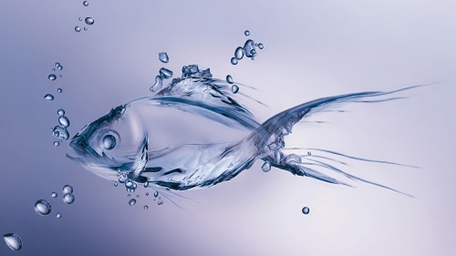 Some Water art Really love the look of all these. its amazing what some people can do with a graphic