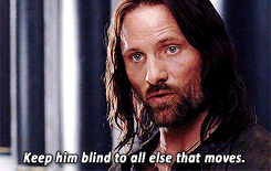 ganseyblues:  “There’s still hope for Frodo. He needs time, and safe passage across the Plains of Gorgoroth. We can give him that.” 