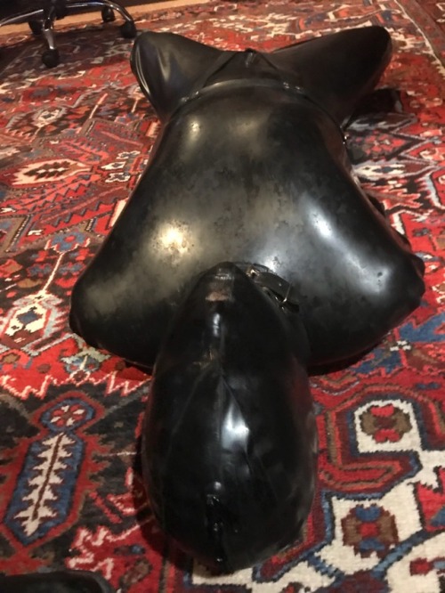 Porn photo confessionsofahoodedbottom:Stuffed for Thanksgiving