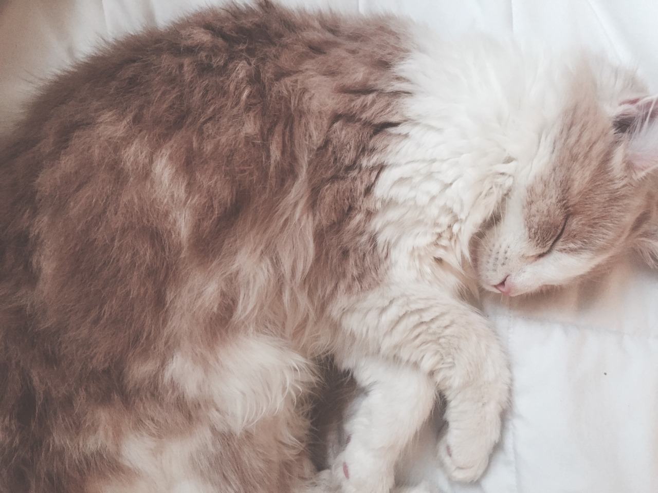 lame-astrology:  he’s a nerd