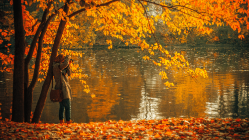 Autumn Shows Us That Far From Shunning Change Natures Achieves This Transition Effortlessly.Autumn Shows
