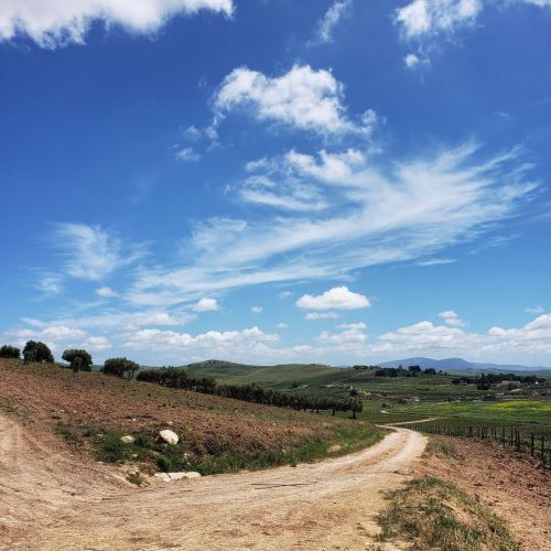 Somewhere in Trapani Province… The spring is a beautiful time to visit Sicily. #experiencesic