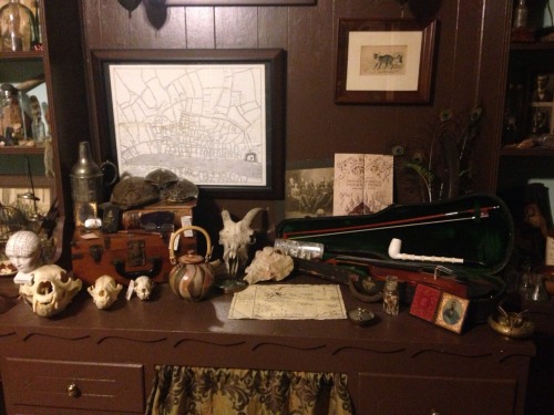 parrotsandpearls:My study The equine skull in the first picture is the zebra skull I just got today 