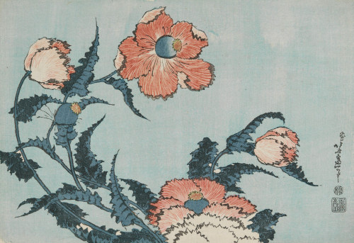 irycente:Katsushika Hokusai (some flowers)1760 - 1849Japanese painter 