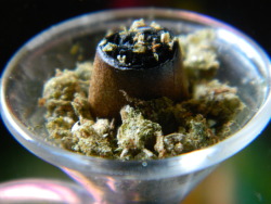 m0nster9:  buddhagrass:  save your roaches for a rainy day  one hit time bomb :D