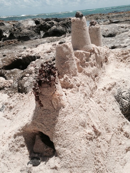 insomniac-arrest:Built a sandcastle at the beach!! I’m an art ho now