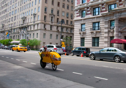 mobigraph: Odd bicycle on Central Park West (by bradhoc)