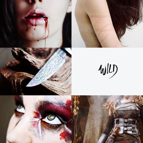 The 100 Aesthetics: Commander Lexa“ Some on my side say that&rsquo;s not enough. They