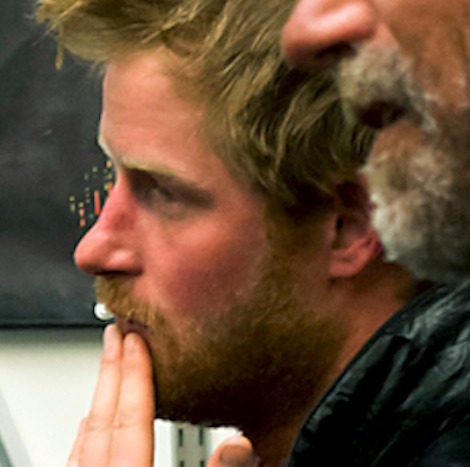 yummygingermen:  unkut24:  Prince Harry has become prince Hairy.  He may be hairy