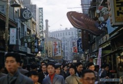 [貴重画像] ロシアのサイトに掲載された1950年代の日本
