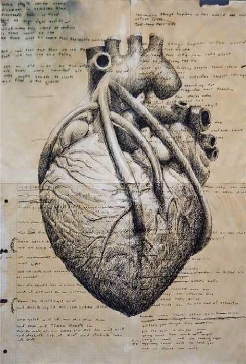 moving-to-new-york:  Anatomically correct heart 