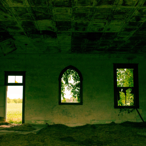 woodprof: Some things need revisiting. I want to go there again To see what has become of it.