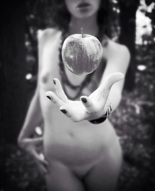 sh7774:  Grocery list: Don’t forget the cranberries. Don’t forget the cranberries.