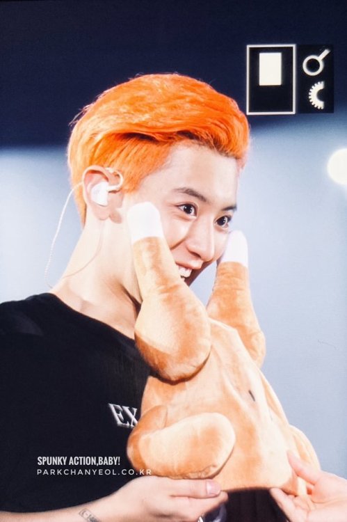 dailyexo: Chanyeol - 190810 Exoplanet #5 - The ExpℓOration in Hong KongCredit: Spunky Action, Baby!.