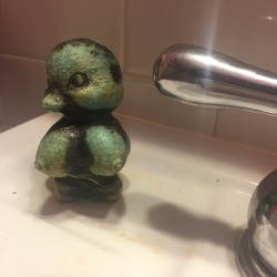 theawesomeadventurer:  help-mywife:  Help; my wife put this in the guest bathroom  duck titties will be banned on the 17th 😪 