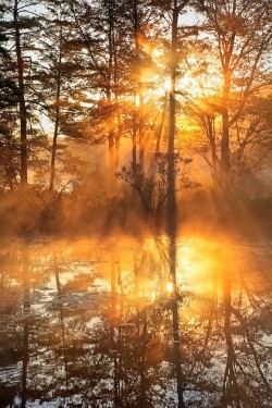 sublim-ature:  Harvard Pond, MassachusettsPatrick