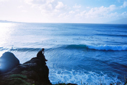 surfahh:  -