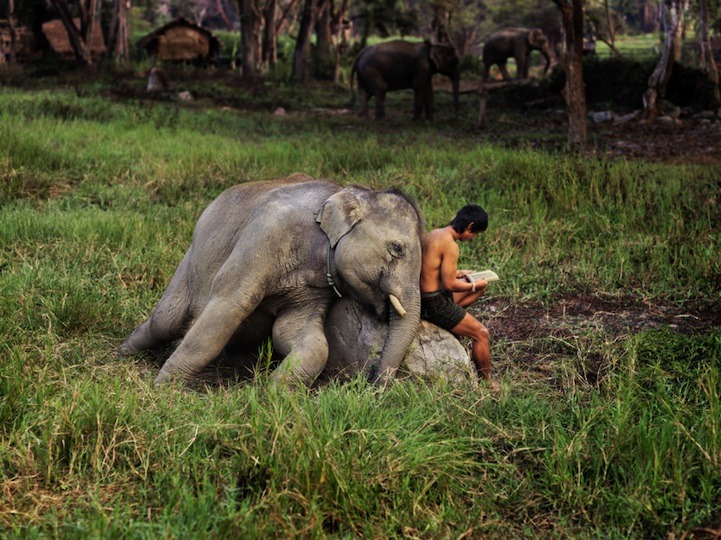 asylum-art:  Steve McCurry presents 150 photos for â€˜oltre lo sguardoâ€™