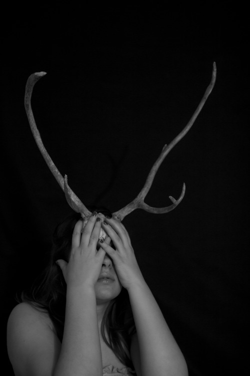 Antlers By Keaphoto