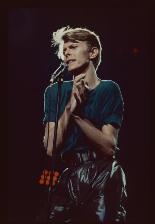 itsintheflesh:  chartsanatomy:    “And these children that you spit on, As they try to change their worlds.Are immune to your consultations, They’re quite aware of what they’re goin’ through”ChangesDavid Bowie 1978 Tour in Chicago  I just???