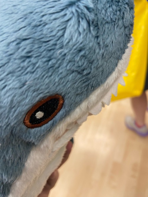 Shork Is Critter. I Too Am Critter. End Of Explanation