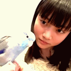 ばってん少女隊 Tumblr Posts Tumbral Com