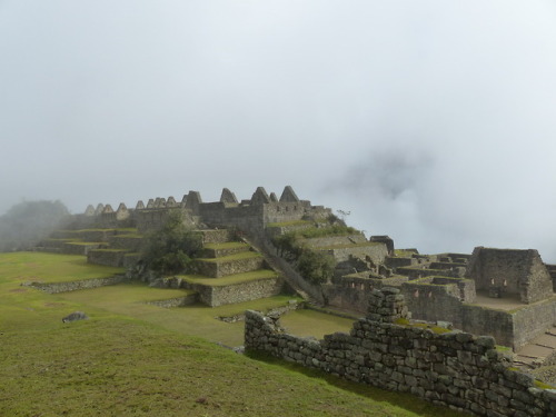 nofreeday95:Machu Picchu photography 2Machu Picchu   -   Erica SmalheerPhotography