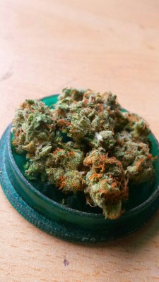 Pineconeherb:  @Juicy-Jays-And-Purple-Haze