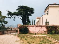 thulianpinksky:  🌳 summer afternoons in Rome