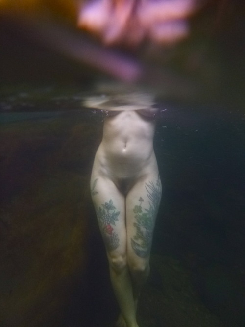 artemis-gg:  waterbird Finch Linden by Artemis Moonlate June, 2015