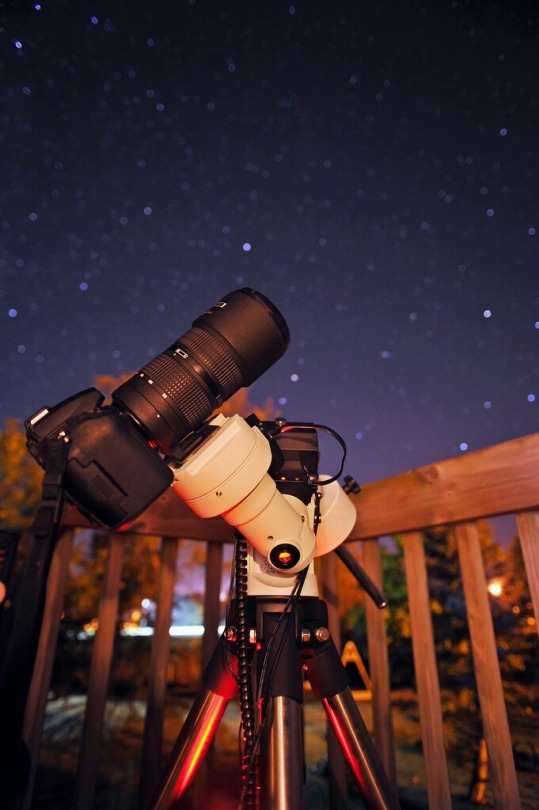 Observing The Skies Above By Kirby Wright On Flickr.
