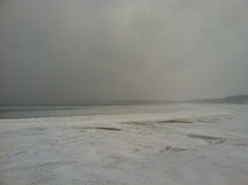 paleflowurs:  the bay this morning is so perfect 
