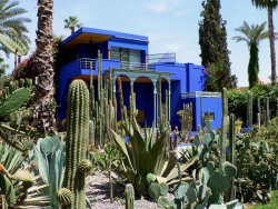 oxydes:  majorelle gardens, morocco