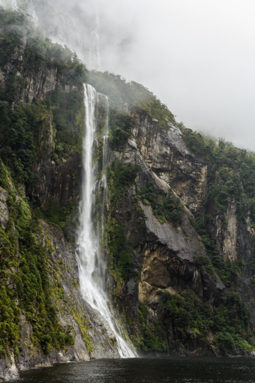 Porn Pics expressions-of-nature:  The Misty Falls |