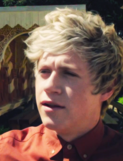          because niall looks really good in that shirt                  