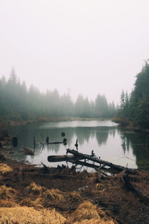 sitinside:  photography is copyright to its rightful owner