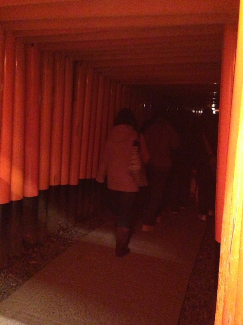 My first visit of the year to a shrine happened to be Fushimi Inari taisha, Kyoto, which draws the m