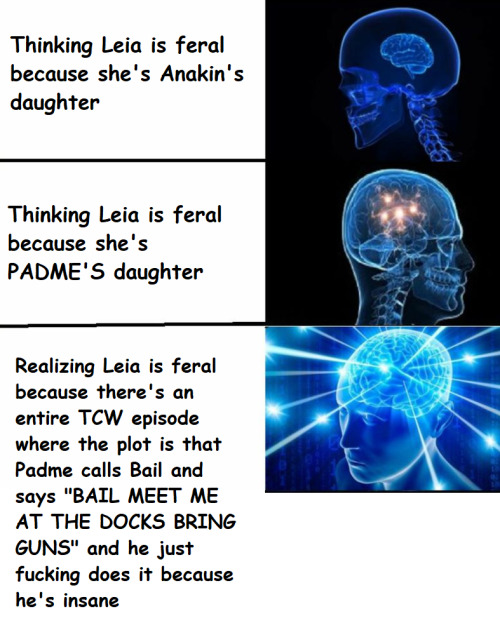 mylordshesacactus: [id: expanding brain meme that goes “Thinking Leia is feral because sh